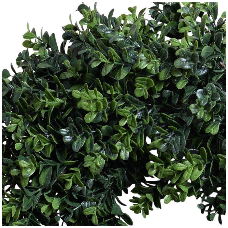 Boxwood Wreath