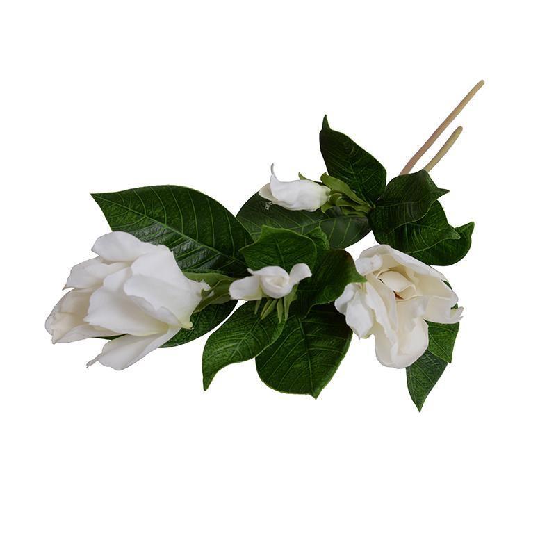 #Set_Set of 12
