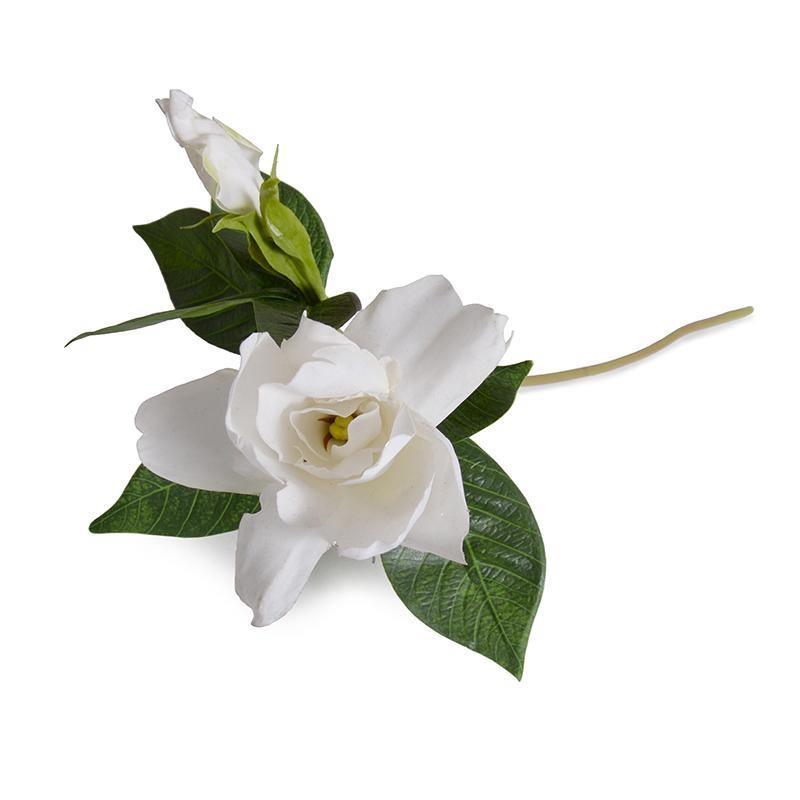 #Set_Set of 12