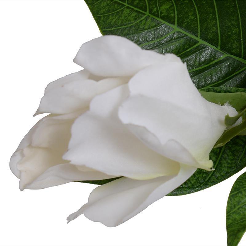 #Set_Set of 12