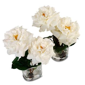 Rose Cutting in Glass