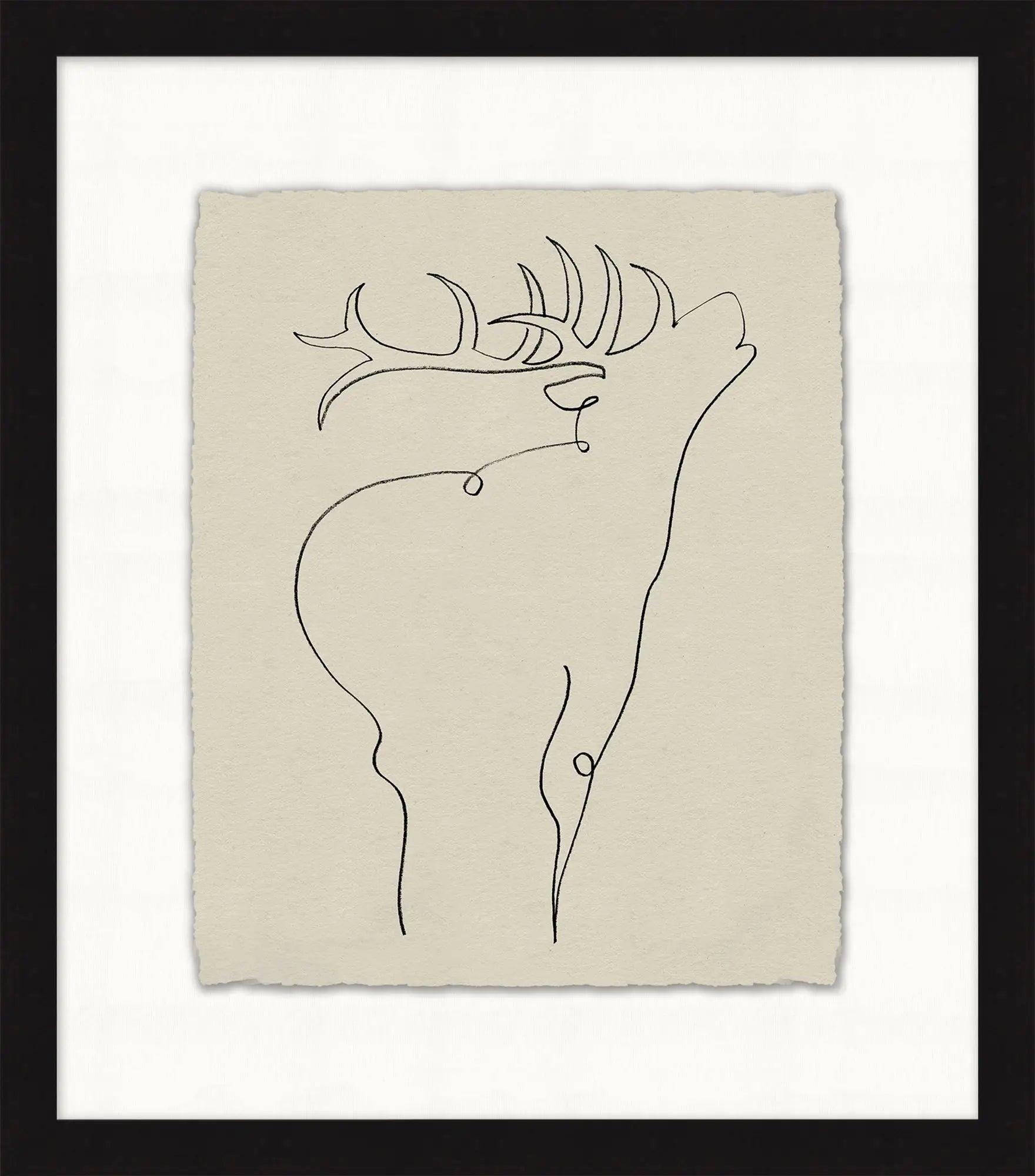 Stag Contour