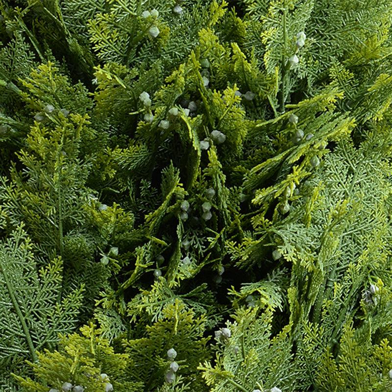 Arborvitae Shrub in Square Planter