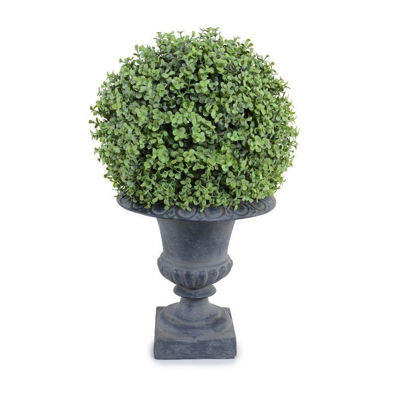 Boxwood Ball in Urn