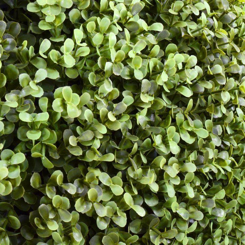 Boxwood Ball in Urn