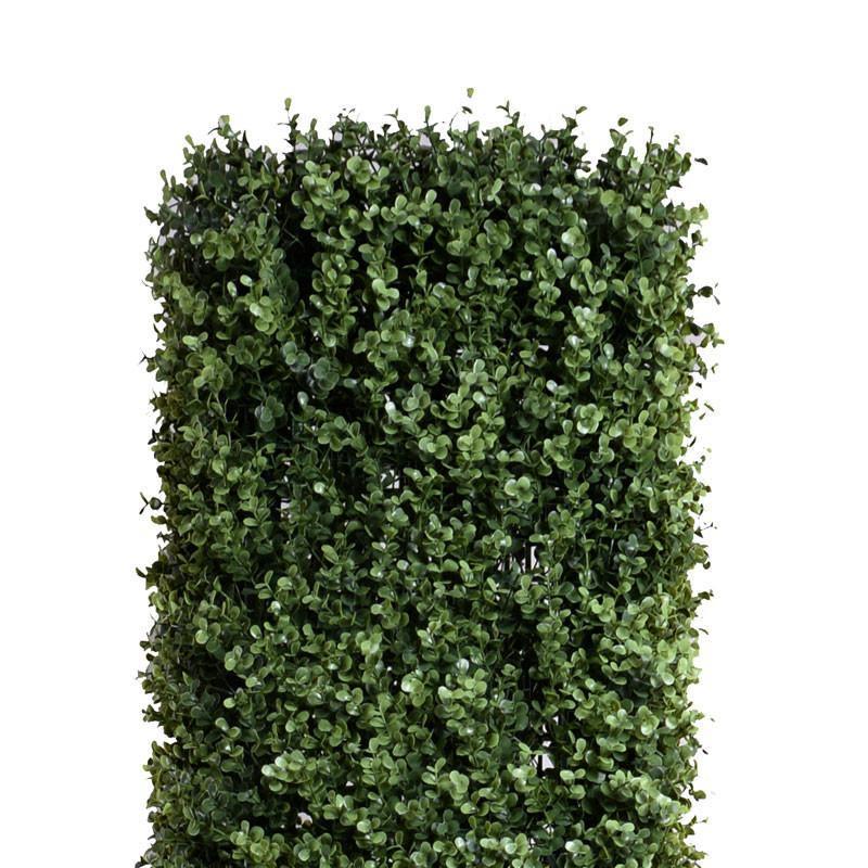 Boxwood Column Topiary