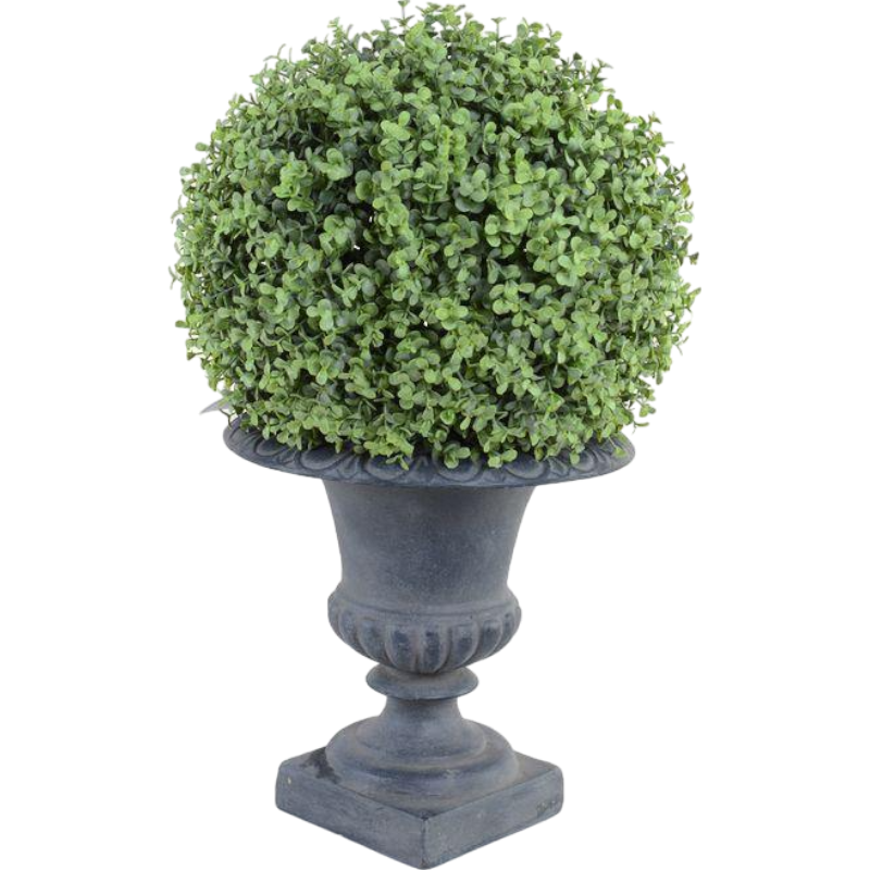 Boxwood Ball in Urn