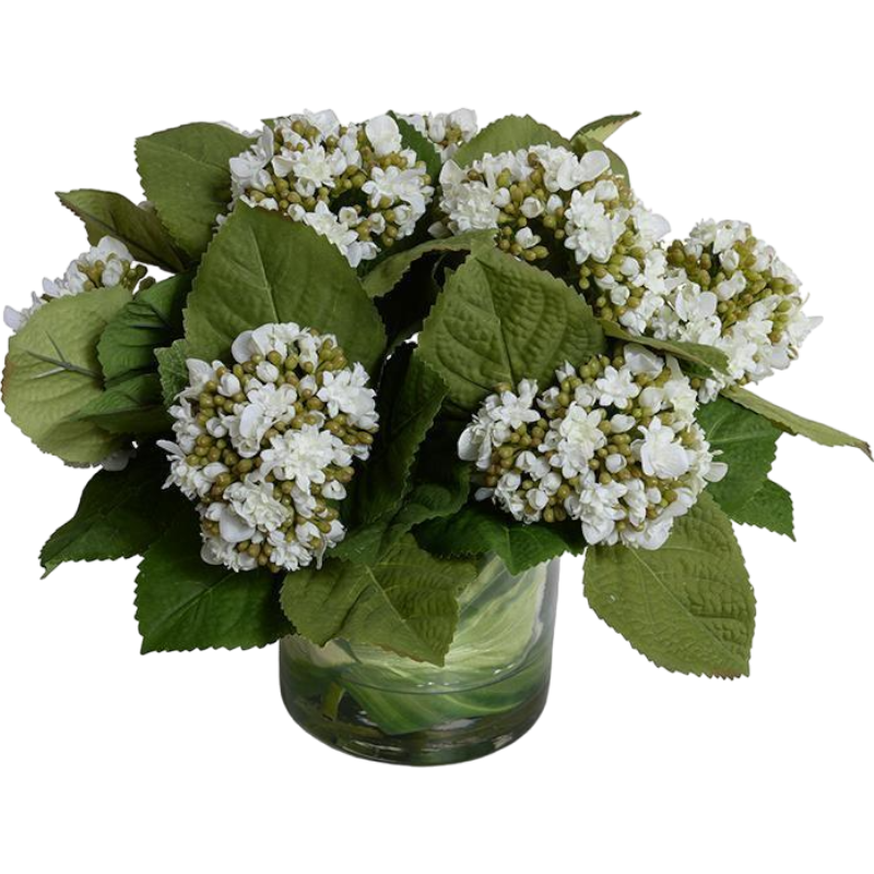 Hydrangea Bud Bouquet