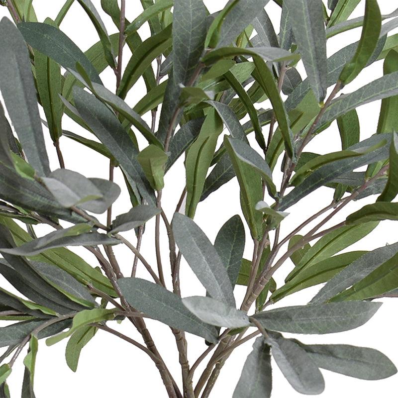 Olive Leaf Topiary