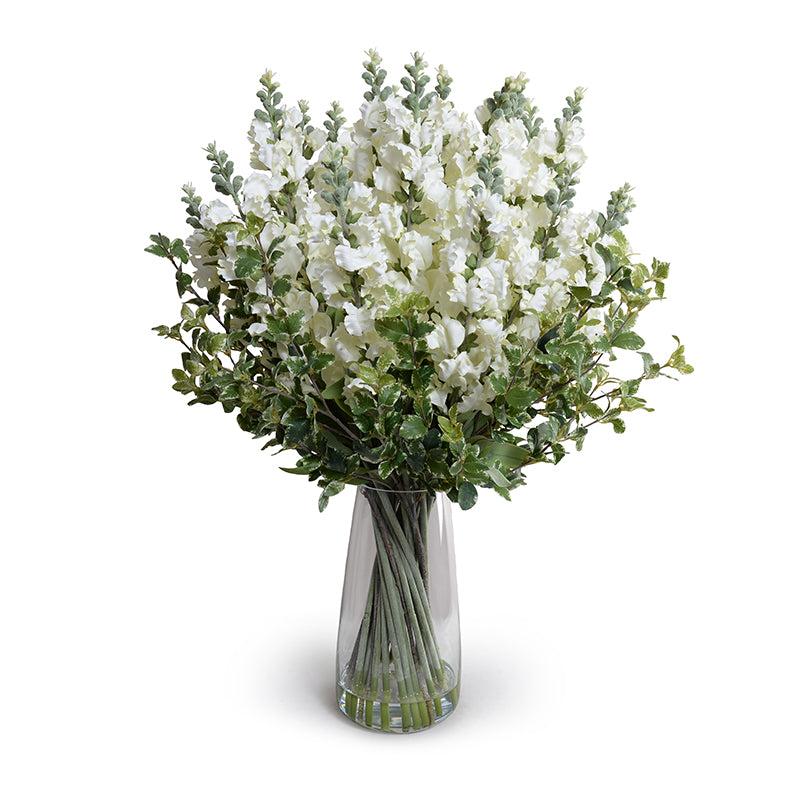 Snapdragon, Privet Arrangement