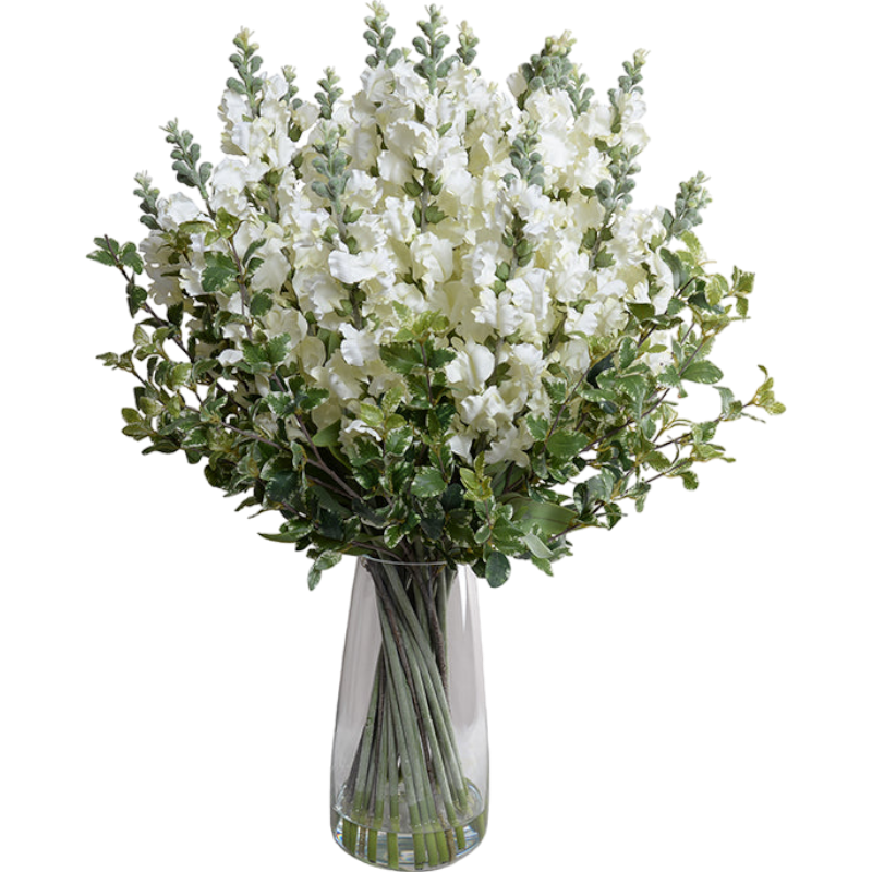 Snapdragon, Privet Arrangement